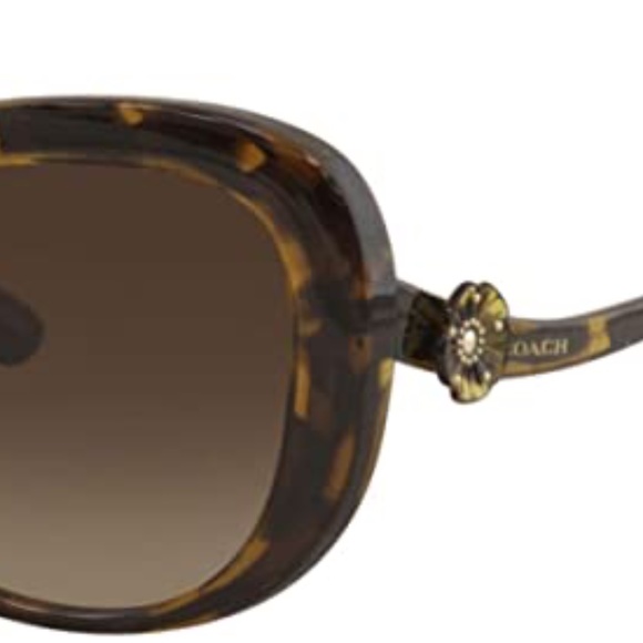 COACH Sunglasses HC8263 - Picture 5 of 7